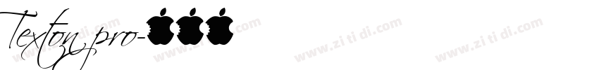 Texton pro字体转换
